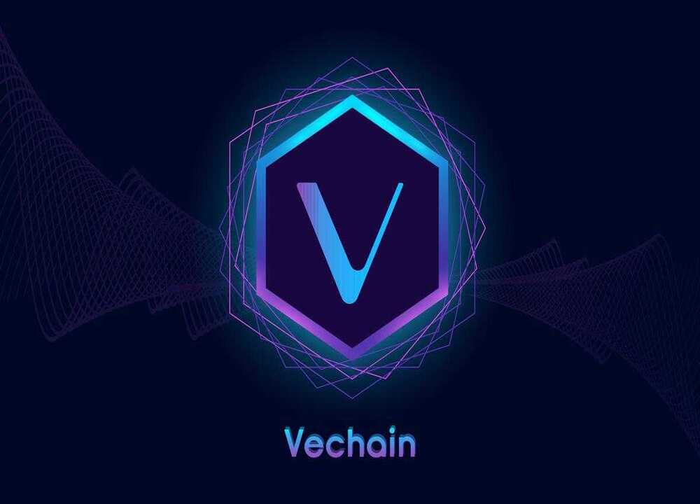 VET币